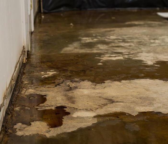 The floors of this property are damaged and in need of a good cleanup. 