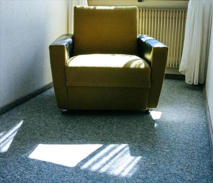 chair on carpet