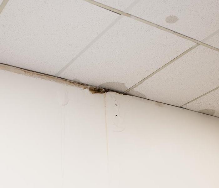 Mold damage on the ceiling of an office building 