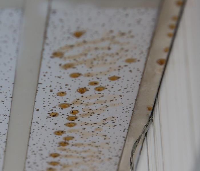 water damage to ceiling tile